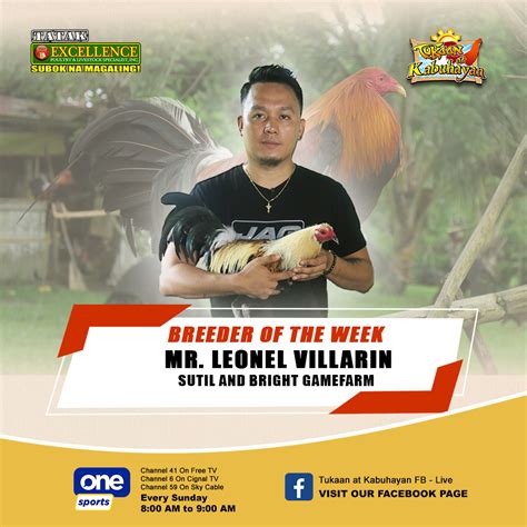 tukaan at kabuhayan|Tukaan at Kabuhayan Excellence .